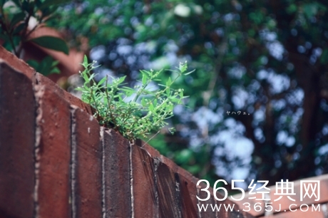 励志语录：当你扛不住的时候就来看看吧