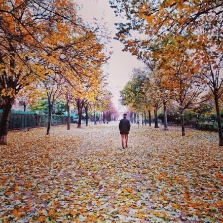 2015早安心语：微笑，有时候是一种没有说出口的伤痛