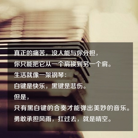 别在最该奋斗的日子，选择了安逸