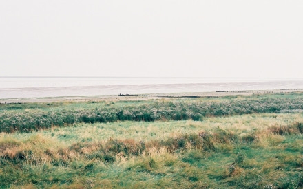 早安心语：我相信,总会有不期而遇的温暖