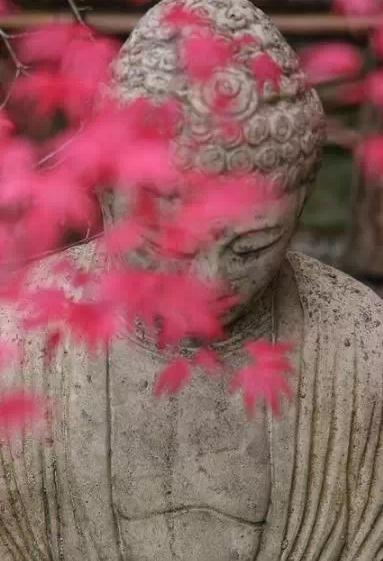 人的好运从哪里来 你们造吗