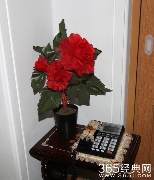 朝鲜高富帅的豪宅 看后喜欢OBA的妹子都沉默了