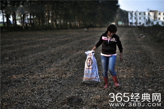 中国留守妻子的生活