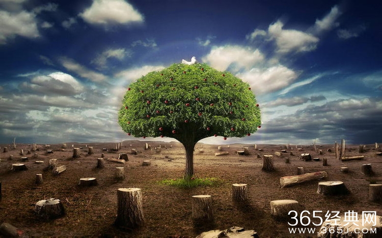 怎样才能活出生命的最佳状态