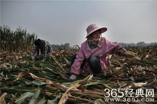 中国留守妻子的生活