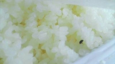 高铁盒饭吃出黑色小虫