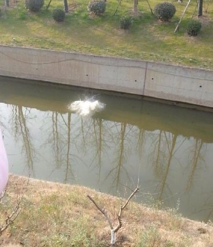 南京女子裸体跳河_女子救出众人围观无人拉救人哥上岸_365经典网