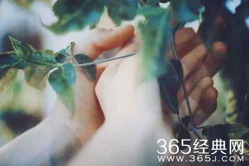 爱不是感动，而是成全！