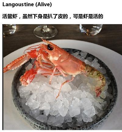 丹麦noma餐厅的黑暗料理
