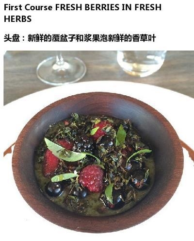 丹麦noma餐厅的黑暗料理