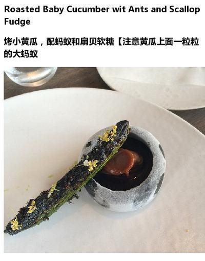 丹麦noma餐厅的黑暗料理