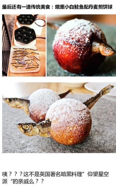 丹麦noma餐厅的黑暗料理