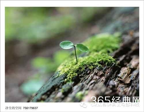 没有伞的孩子才会努力奔跑