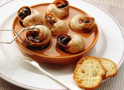 美食与红酒完美搭配