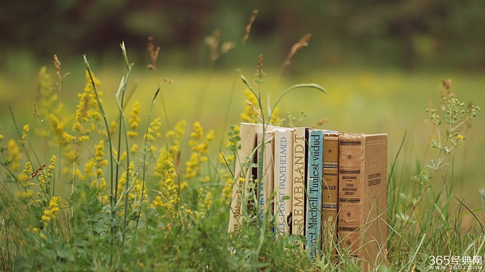 富有哲理的个性签名：心之所向，必是乐土