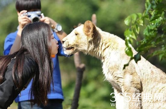 《奇妙的朋友》嘉宾图片