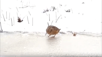 养好身体的7个好习惯