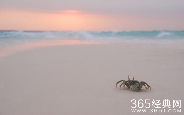 七堇年：一些人的出现，就是为给你上一课