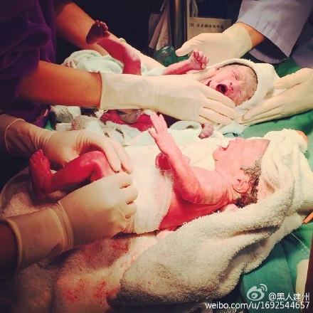 范玮琪产双胞胎 范玮琪儿子正面照片曝光名字取什么呢？(图)2