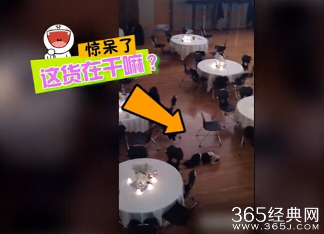 缩头乌龟用头撞喵 什么仇什么怨