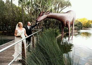 要是碰上一个会画画的摄影师...