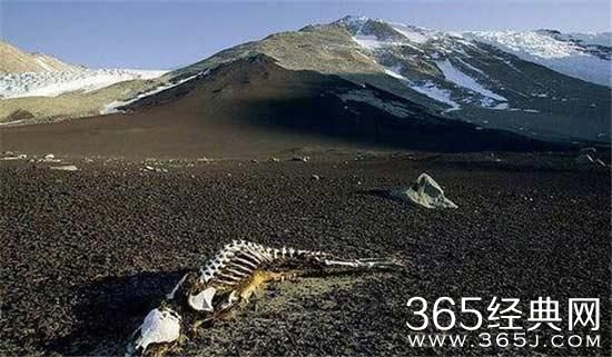 够胆你就去：十大中国最恐怖旅游禁区！