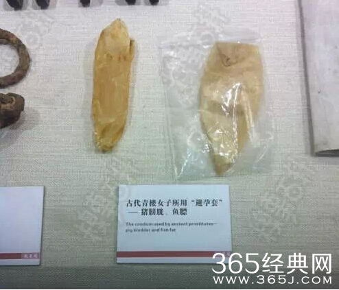 隔壁传来了女人与男人XXOO的声音...