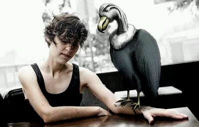 要是碰上一个会画画的摄影师...