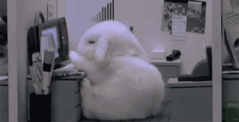 养好身体的7个好习惯