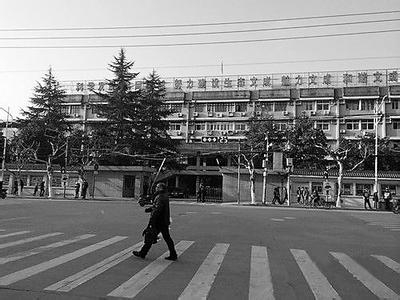 政府大楼因寒碜走红