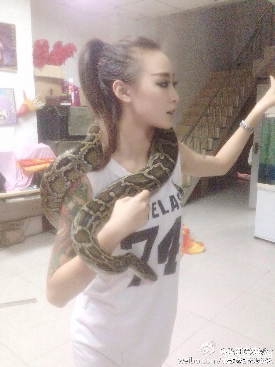 《非诚勿扰》11号女嘉宾资料