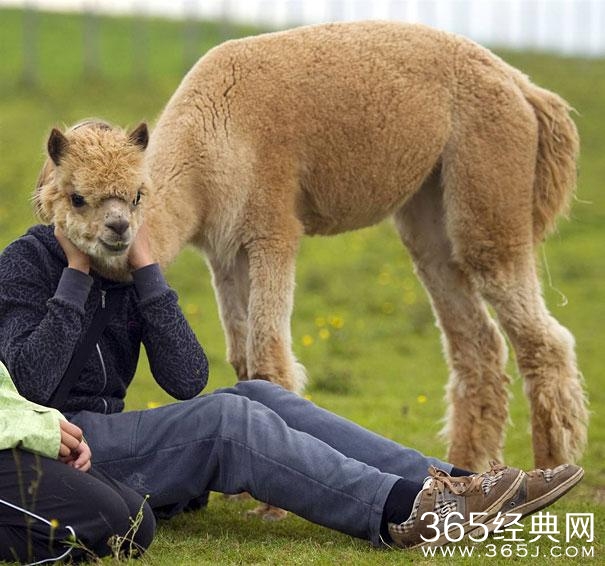 这照片谁照的？太TM有才了！