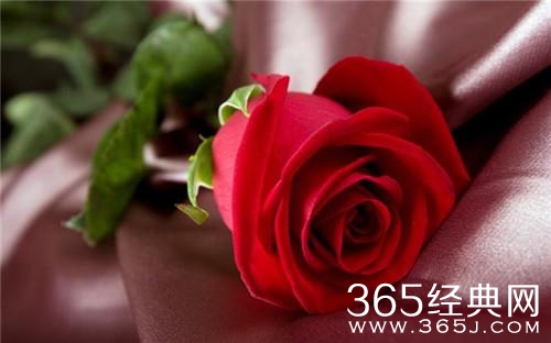 林夕：我写了很多词，到最终赢不到一个人