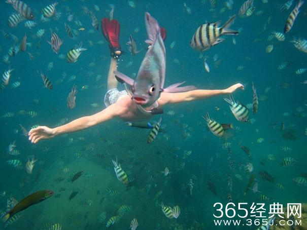 这照片谁照的？太TM有才了！