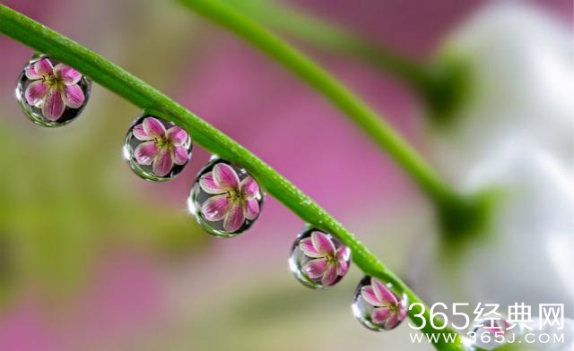 林夕：我写了很多词，到最终赢不到一个人