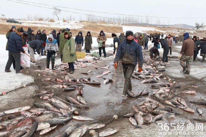 沈阳冰湖冬捕节