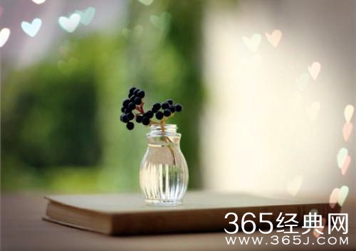 林夕：我写了很多词，到最终赢不到一个人