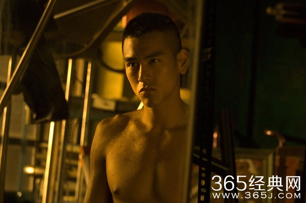 翻滚吧，阿信图片