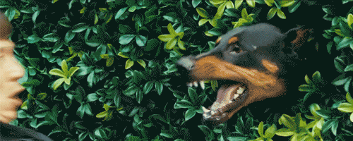 只有抢票的人才懂的9中心情