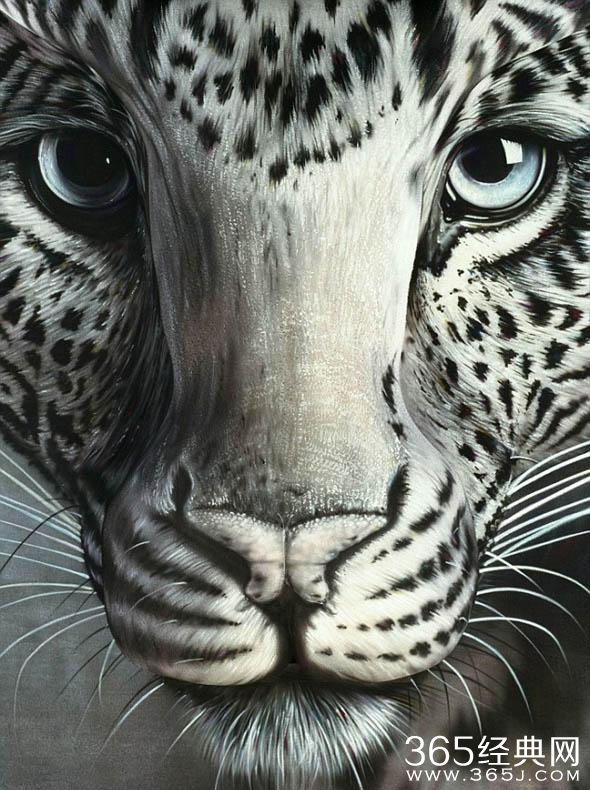 这照片谁照的？太TM有才了！