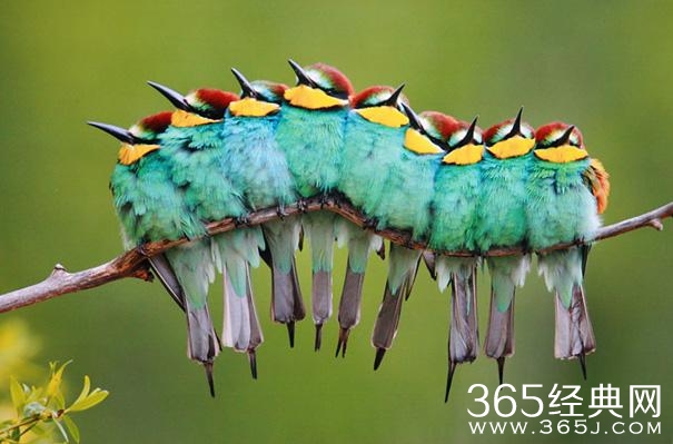 这照片谁照的？太TM有才了！