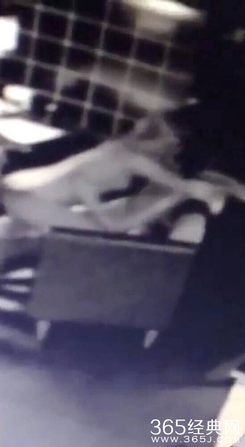 俄罗斯情侣咖啡厅全裸当众上演“动作片”图片