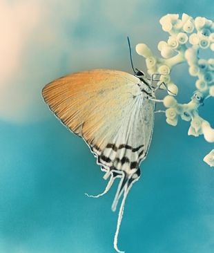 梦想励志文章:给梦想办个存折