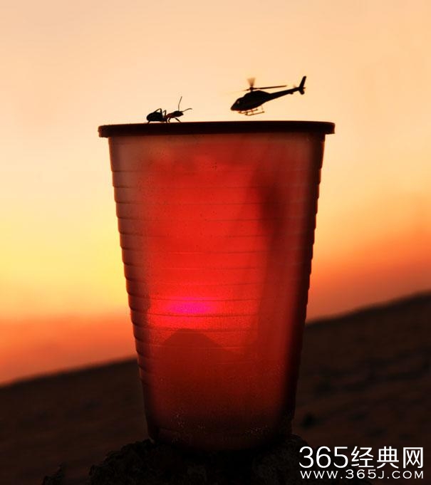 这照片谁照的？太TM有才了！