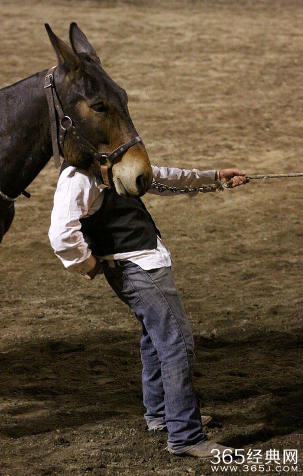 这照片谁照的？太TM有才了！