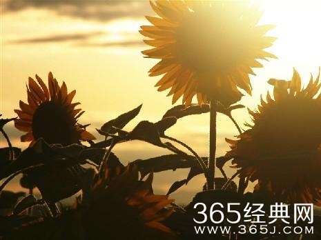 励志故事：信任是成功的前提