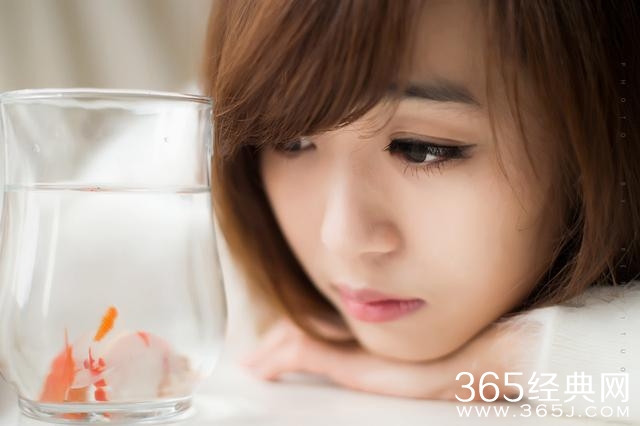 你不曾给我一次回眸，我却始终在对你微笑