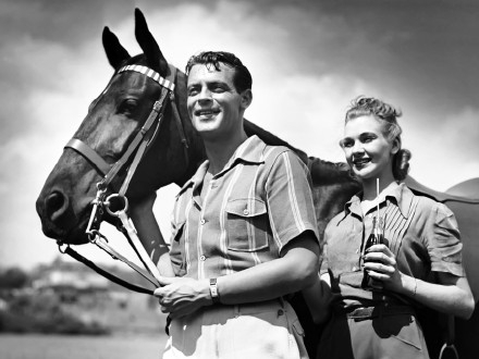 晚安心语：当执着成为负累，放手就是解脱