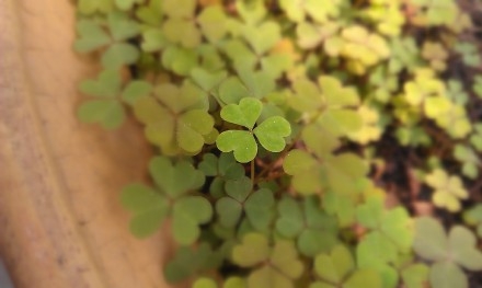 晚安心语：当执着成为负累，放手就是解脱