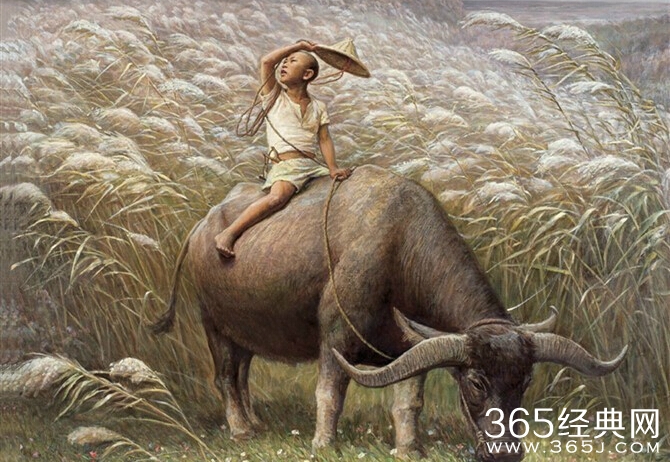 纪念我们天空湛蓝人儿纯朴的那些年！这些照片以后很难看到了！